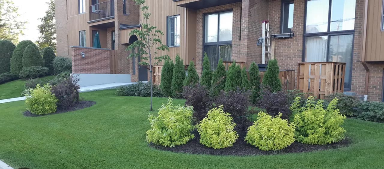 Foundation shrubs in a curved mulch bed