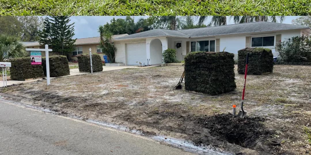 Front lawn before fresh sod installation
