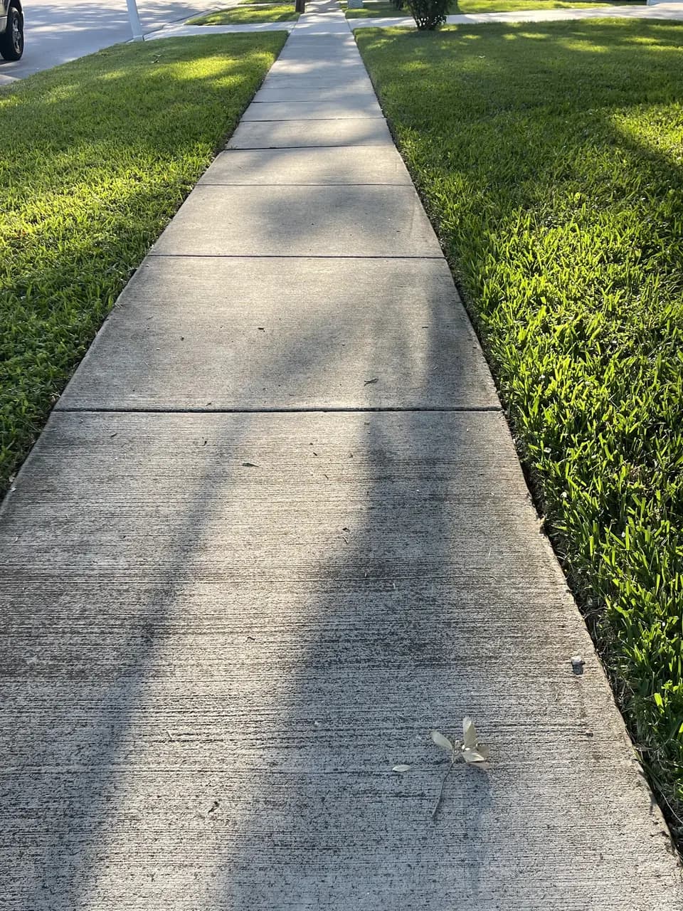 Straight, clean lawn edges along a long sidewalk