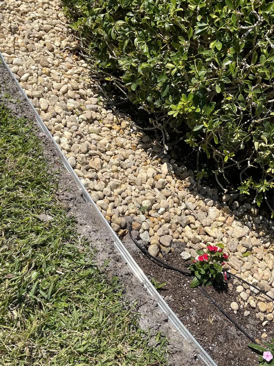 River rock bed with drip line and metal edging between lawn and hedge